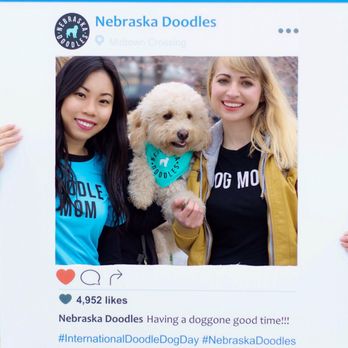 Turner Park - Turner park hosting our Doodle Day event - Parks Near Me - Omaha, Nebraska Turner Park - Turner park hosting our Doodle Day event - Parks Near Me - Omaha, Nebraska