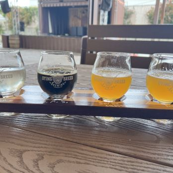 Dying Breed Brewing - Great selection for the perfect flight - Breweries Near Me - Oakdale, California Dying Breed Brewing - Great selection for the perfect flight - Breweries Near Me - Oakdale, California