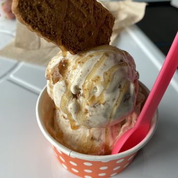 iFreeze Creamery - Biscoff regular size - Ice Cream & Frozen Yogurt Near Me - Royal Oak, Michigan iFreeze Creamery - Biscoff regular size - Ice Cream & Frozen Yogurt Near Me - Royal Oak, Michigan