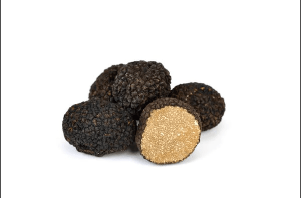 Caviar By DNHG by null