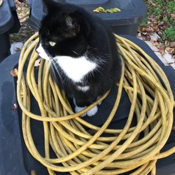 CM Electric official assistant