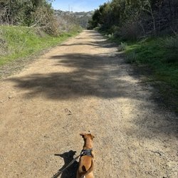 Arroyo Pescadero Park - Guard dog
