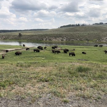 Hayden Valley - Landmarks & Historical Buildings Near Me - Yellowstone, Wyoming