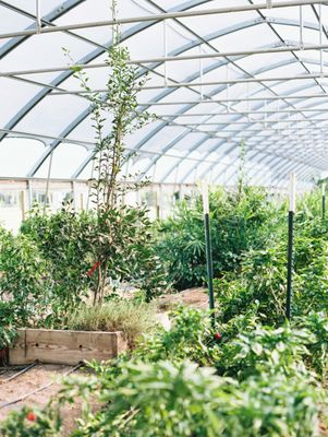 Blackwood Educational Land Institute by null