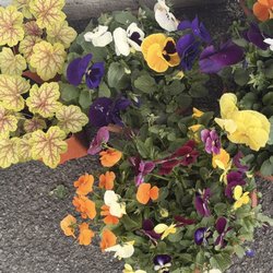 Flower Fashions By Haring - Flowers