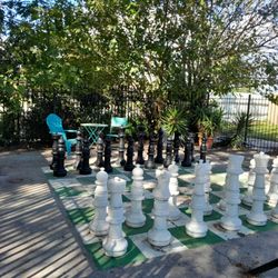 Three Oaks and a Pine - Anyone up for a game of chess?