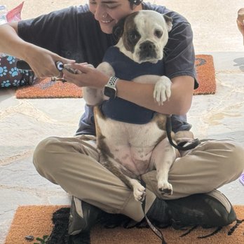 Pawdicure - Pet Groomers Near Me - Tulsa, Oklahoma Pawdicure - Pet Groomers Near Me - Tulsa, Oklahoma