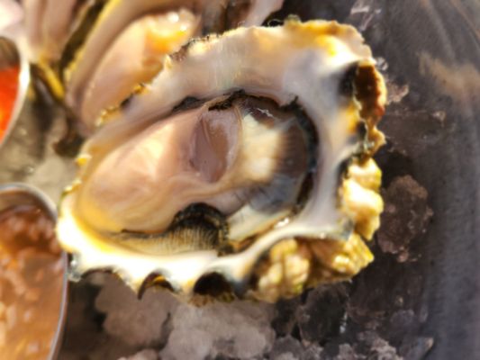 Brasserie L'Ecole by null