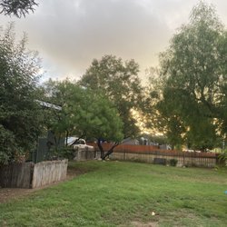 Michael's Tree Service - The before picture.