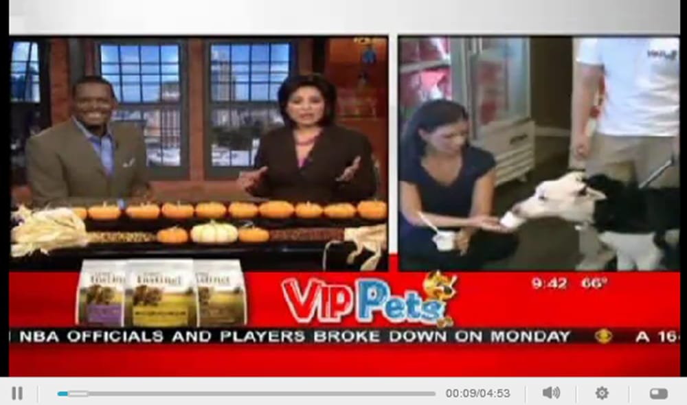 VIP PETS Updated August 2024 21 Photos & 14 Reviews 1707 Colusa