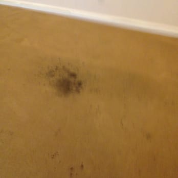 Oscar's Carpet Cleaning - Before. The camera did not do this disgusting stain justice. - Carpet Cleaning Near Me Oscar's Carpet Cleaning - Before. The camera did not do this disgusting stain justice. - Carpet Cleaning Near Me