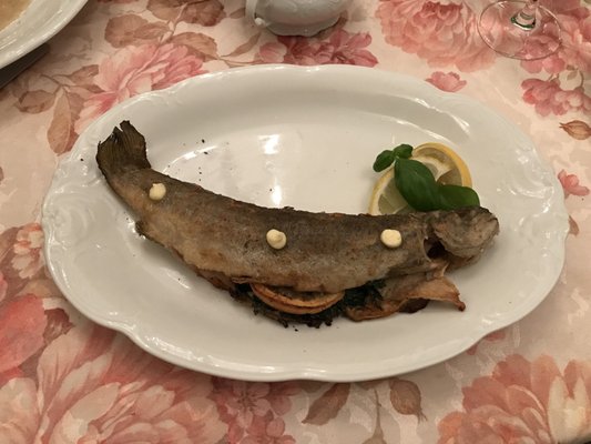 Jarema Restaurant by null