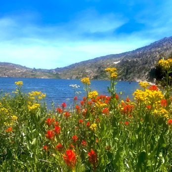 The Restaurant At Caples Lake - Winnamucca lake - Salad Near Me - Kirkwood, California The Restaurant At Caples Lake - Winnamucca lake - Salad Near Me - Kirkwood, California
