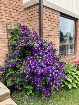 LONGO’S - Updated January 2026 - 23 Photos & 14 Reviews - 7700 ...