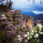 Photo of Blue Mountains Climbing School