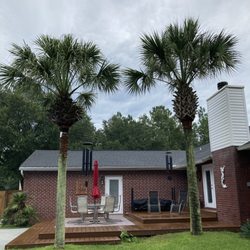Specialized Palm And Tree Care