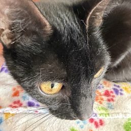 He just woke up