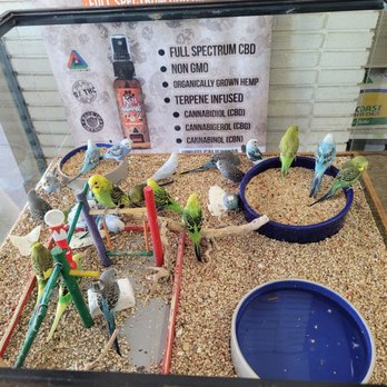 Paw Shoppe Pet Center - Pet Stores Near Me - Long Beach, California