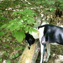 Midland City Forest - Me and my girls love exploring on the trails in City Forest