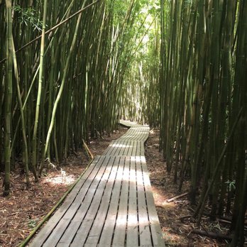Pipiwai Trail - Hiking Near Me - Hana,, Hawaii