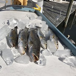 Let Mark take you into the nooks and crannies of Tampa Bay! Enjoy!