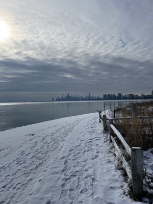 Montrose Point Bird Sanctuary by null