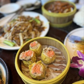 Dragon Beaux - Dim Sum Near Me - San Francisco, California Dragon Beaux - Dim Sum Near Me - San Francisco, California