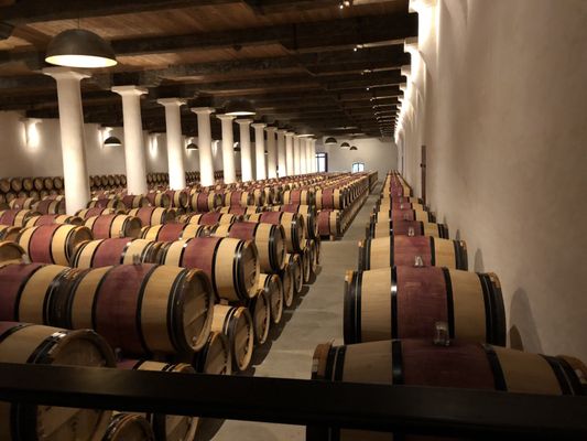 Château Margaux by null