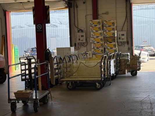 Casco Bay Lines by null