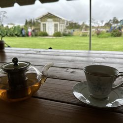 The Lili House Farm - Enjoying our afternoon tea