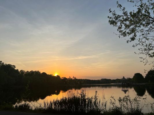 Lake Artemesia Natural Area by null