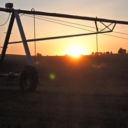 Skone Irrigation