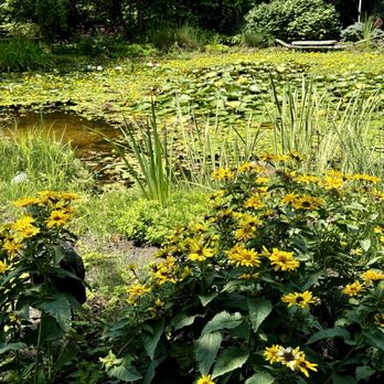 Hornbaker Gardens - Aquatic plants - Nurseries & Gardening Near Me - Princeton, Illinois