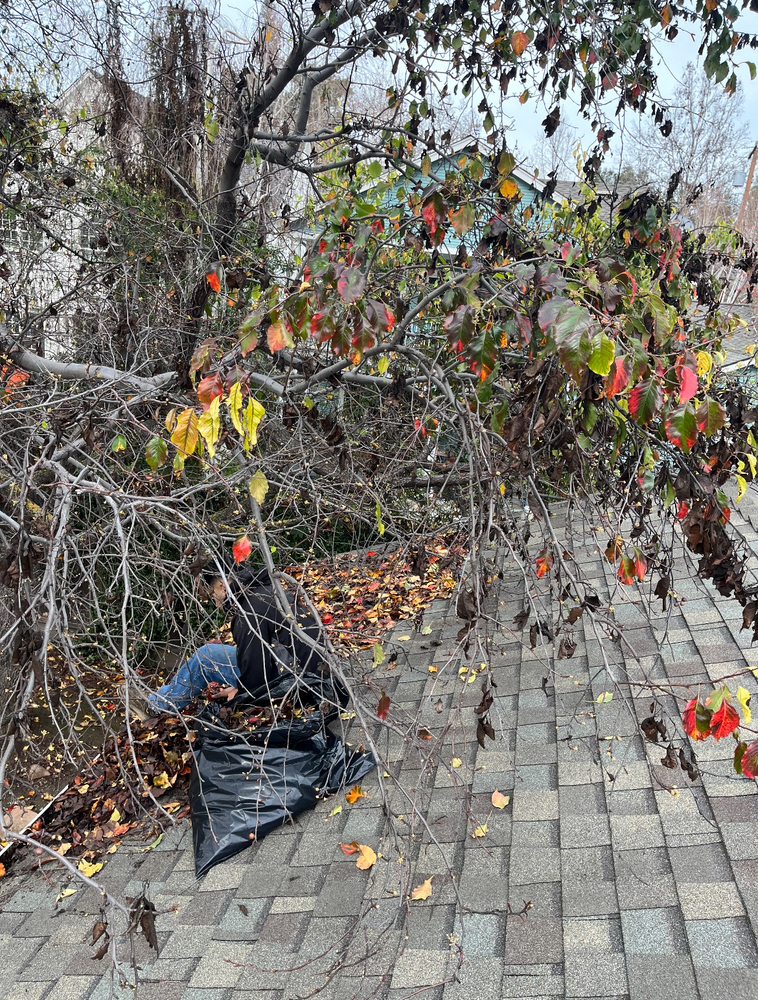 Slide of America’s Family Roofing