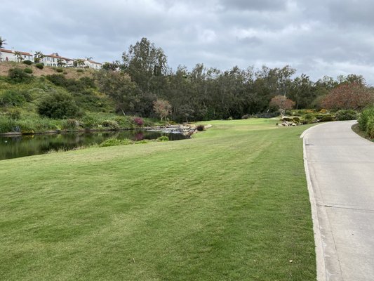 Aviara Golf Club by null