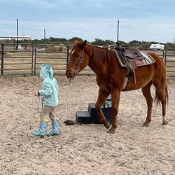 Michael George Horsemanship
