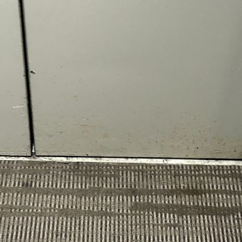 Suite Nights by SS - This filth is inside the apartment - Balloon Services Near Me - Dallas, Texas