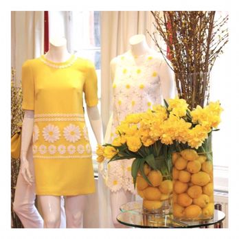Modehaus Beck Wetzlar - Women's Clothing Near Me - Wetzlar, HE