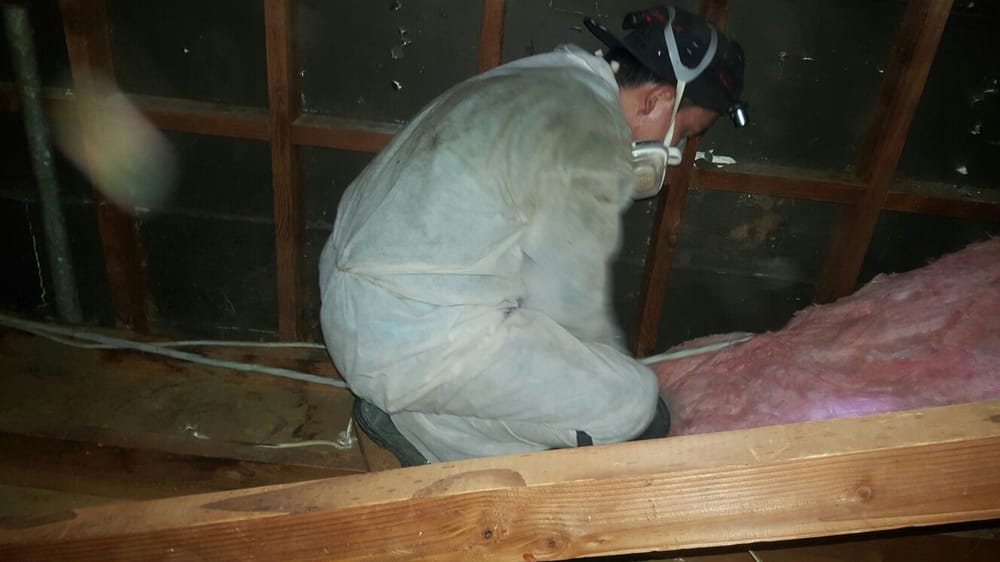 Sos Insulation SOS ATTIC - Updated January 2025 - 31 Photos - 1346 The Alameda St, San ...