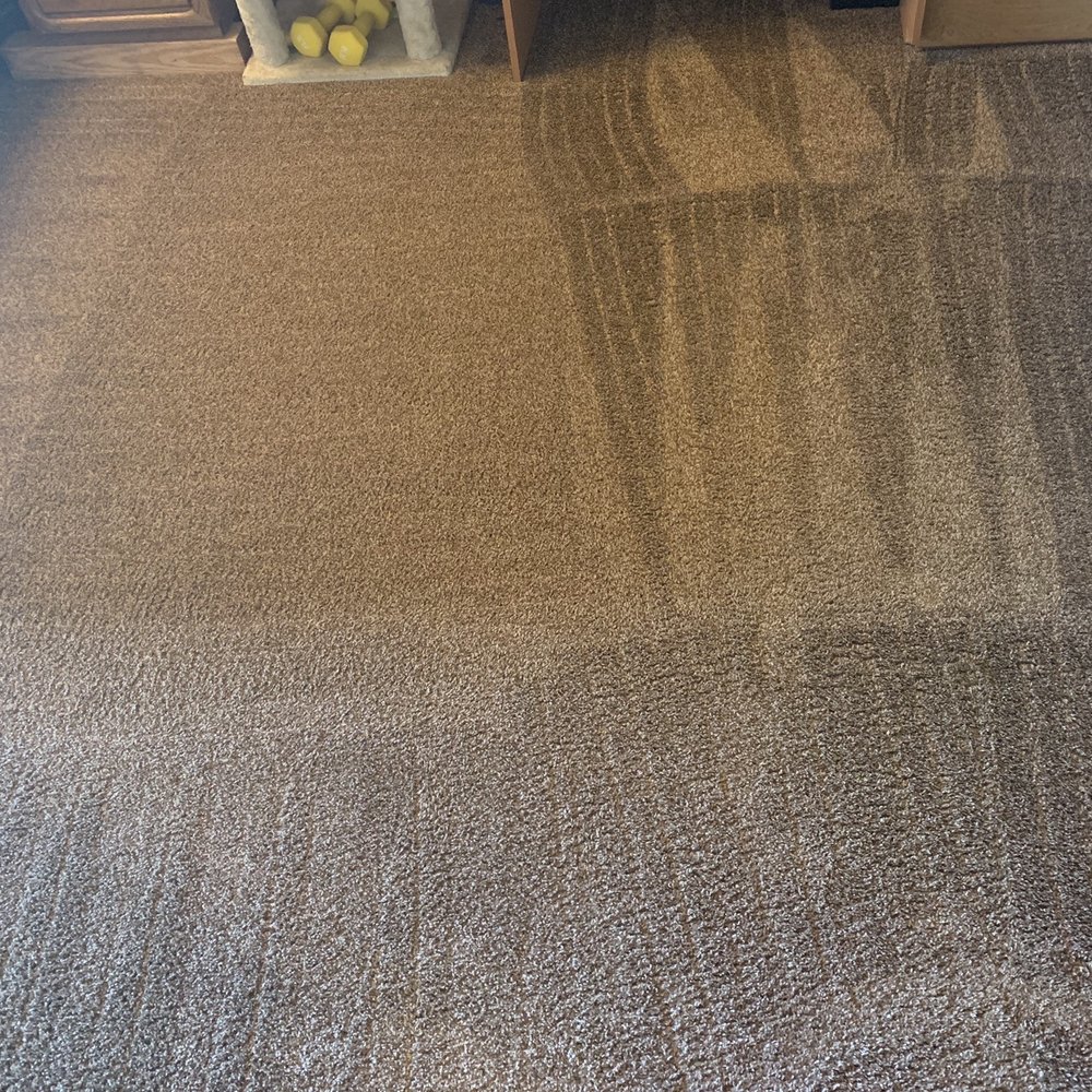 Sierra Carpet Cleaning - Master bedroom - Carpet Cleaning Near Me - Mammoth Lakes, California Sierra Carpet Cleaning - Master bedroom - Carpet Cleaning Near Me - Mammoth Lakes, California
