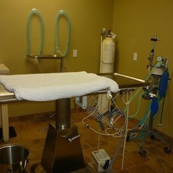 Animal Hospital of Stoney Creek - Surgery