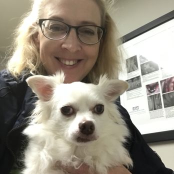 Dickens' Pet Care Services - Nancy and disgruntled Dickens at the vet - Pet Sitting Near Me