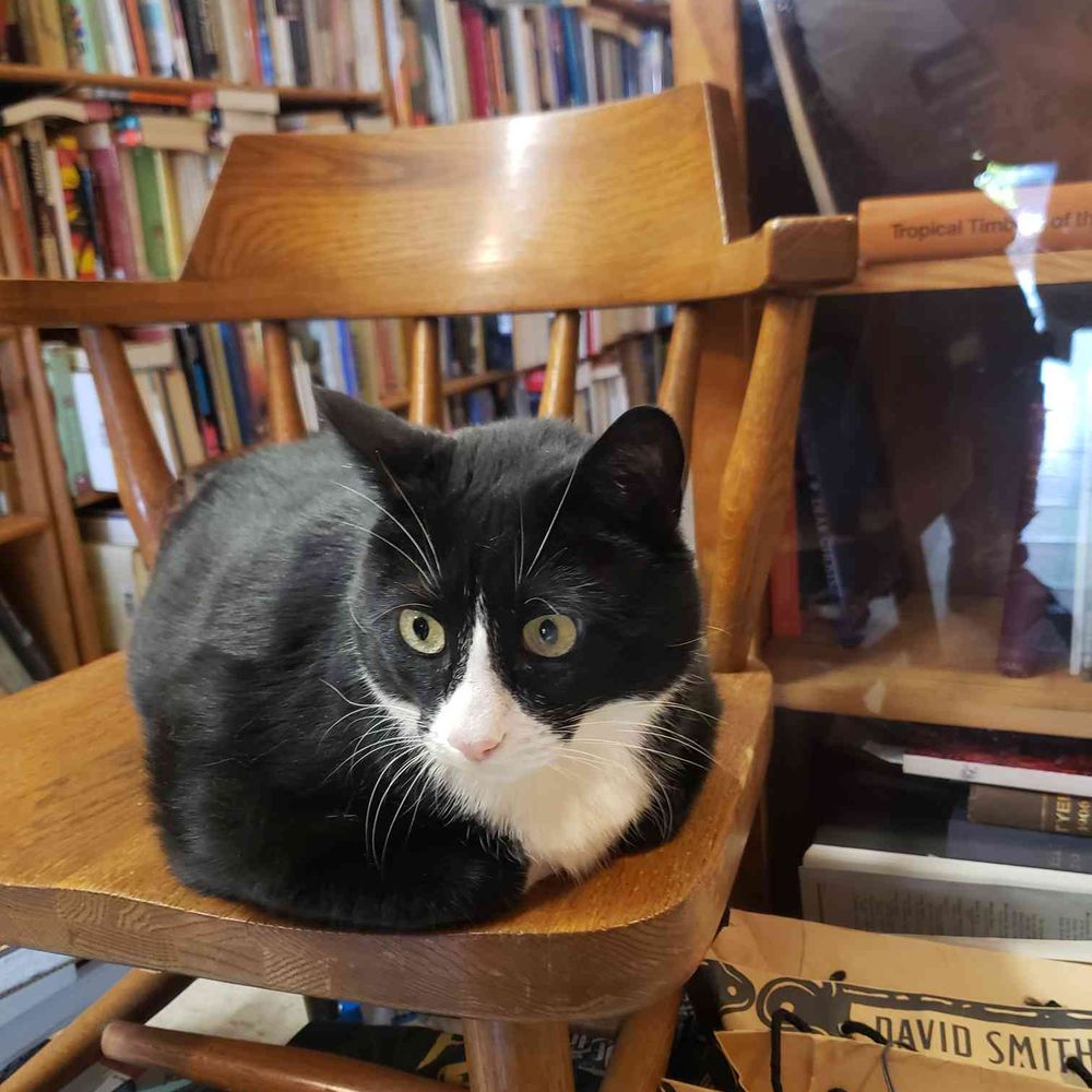 Twice Sold Tales - Beau is love. Beau is life. - Bookstores Near Me - Seattle, Washington Twice Sold Tales - Beau is love. Beau is life. - Bookstores Near Me - Seattle, Washington