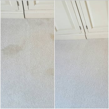 Richmond Kwik Dry - Pet Stain Experts - Carpet Cleaning Near Me Richmond Kwik Dry - Pet Stain Experts - Carpet Cleaning Near Me