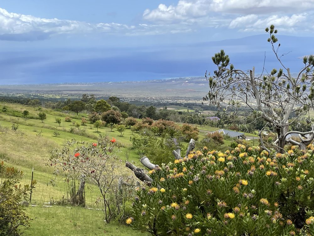 MAUI HAPPI TAXI Updated August 2024 Kihei, Hawaii Taxis Phone