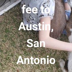 Houston Petting Zoos And Aquariums - Free travel fee