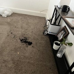 Structube - Plant and photo frames damaged. Plant soil on the carpeting.