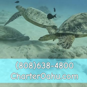 Charter Oahu - IG page was helpful that we ran into it's pop up advertisement - Boat Charters Near Me - Honolulu, Hawaii