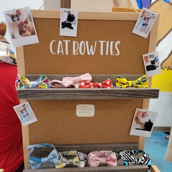 Snobby Cats - Cat Bow Ties ($13.50 each) plus cute pictures of cats wearing the bow ties! - Pet Stores Near Me - Honolulu, Hawaii Snobby Cats - Cat Bow Ties ($13.50 each) plus cute pictures of cats wearing the bow ties! - Pet Stores Near Me - Honolulu, Hawaii