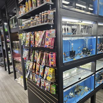 Empire Pet Fish - Local Fish Stores Near Me - Flushing, New York